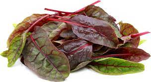 Rainbow-Chard-Supplier-In-India